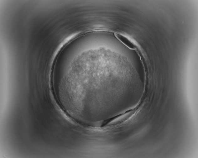 X0000086751333200704271702