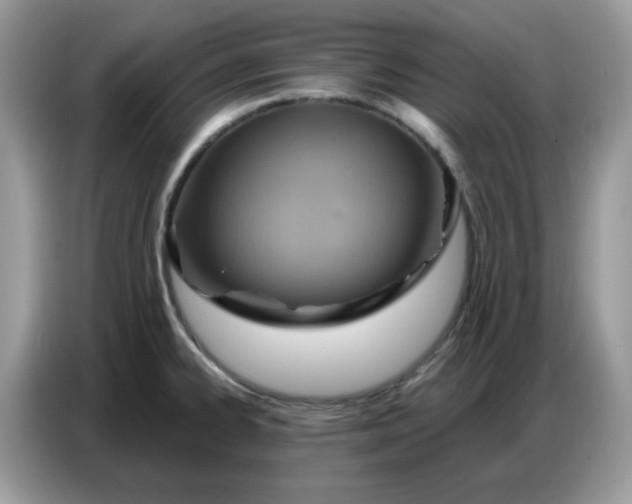 X0000086751334200704271703