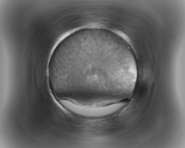 X0000086751335200704271703