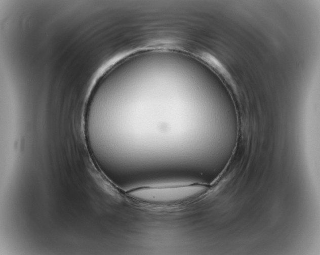 X0000086751336200704271703