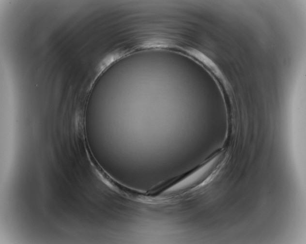 X0000086751337200704271703