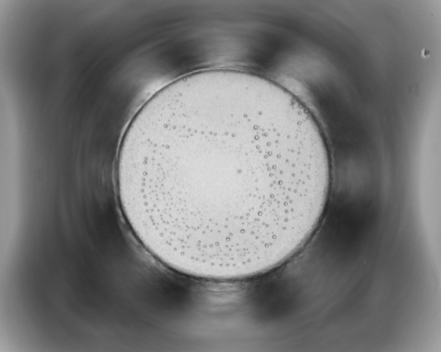 X0000086751338200704271703