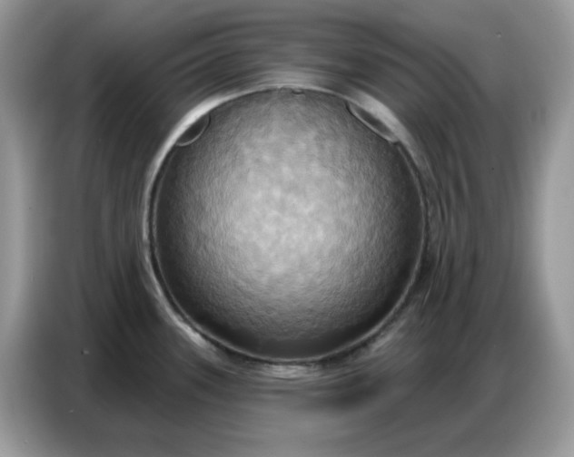 X0000086751339200704271703