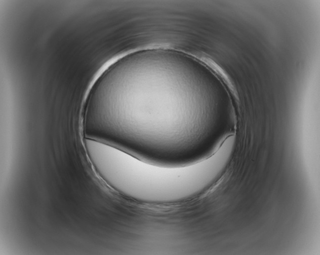 X0000086751340200704271703