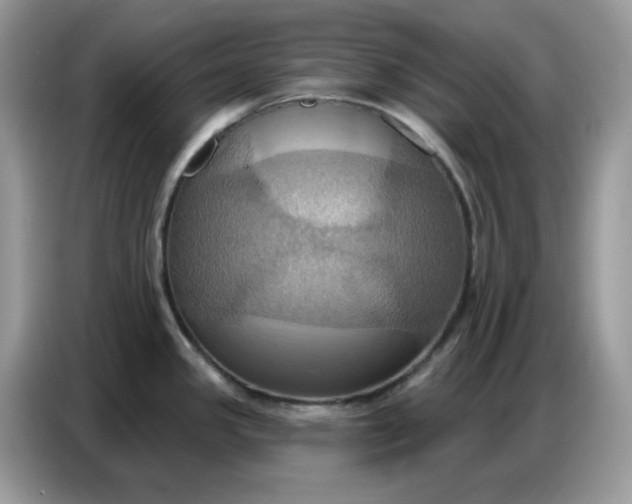 X0000086751341200704271703