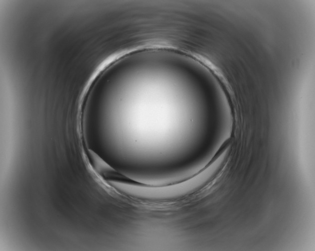 X0000086751342200704271703