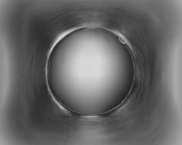 X0000086751343200704271703