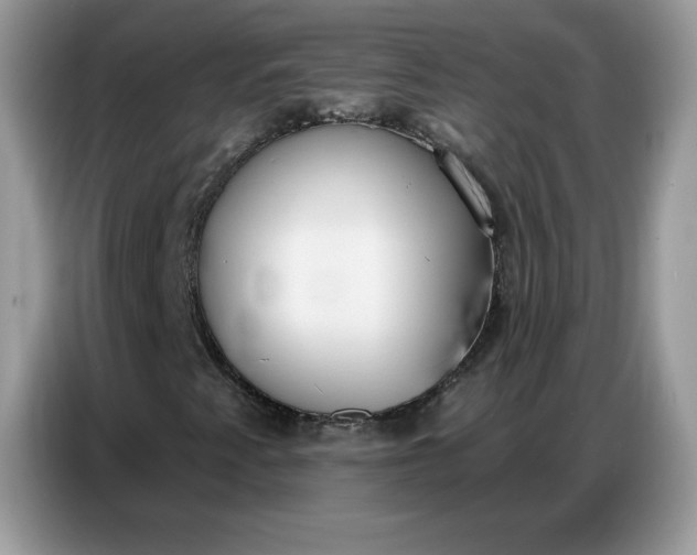 X0000086751345200704271702