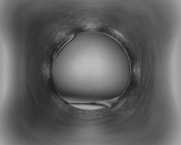 X0000086751348200704271702