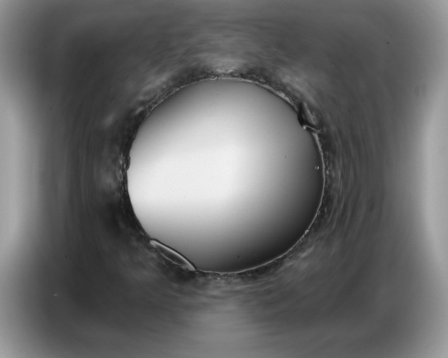 X0000086751349200704271702