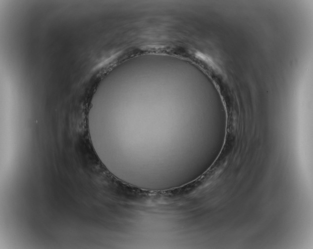 X0000086751350200704271702