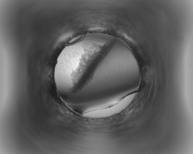 X0000086751351200704271702