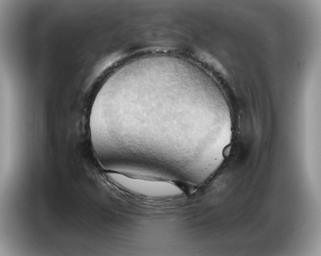 X0000086751352200704271702