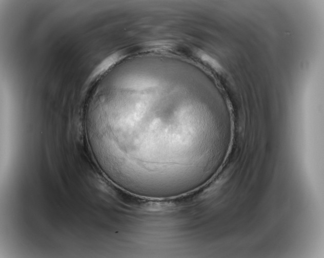 X0000086751354200704271702