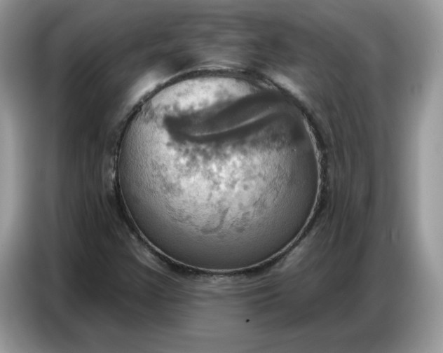 X0000086751355200704271702