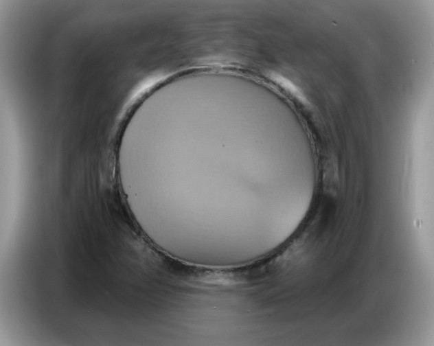 X0000086751358200704271702