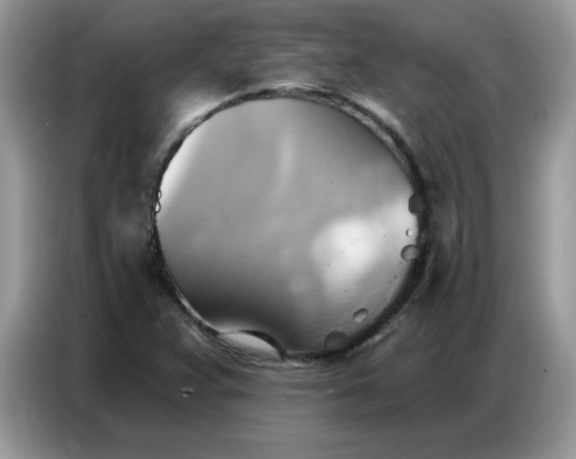 X0000086751359200704271702