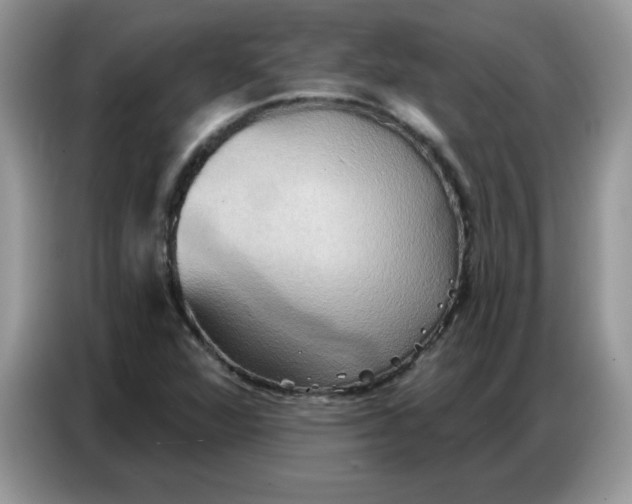 X0000086751360200704271702