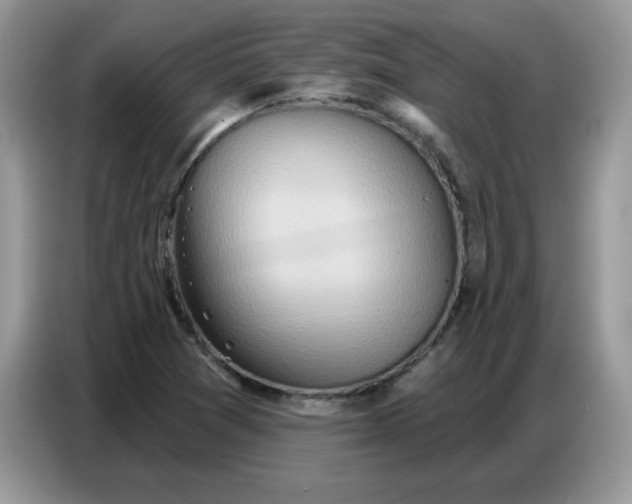 X0000086751361200704271702