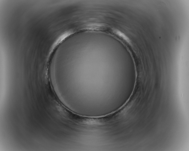 X0000086751362200704271702