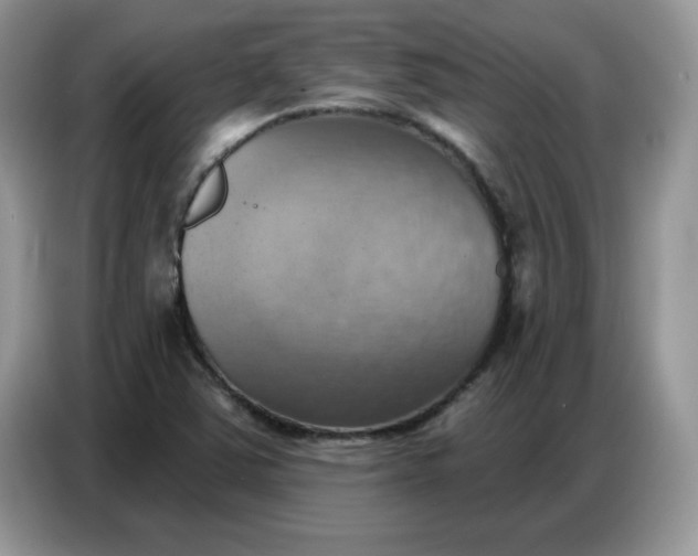 X0000086751363200704271702