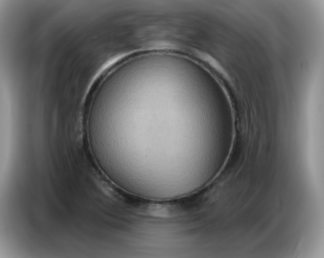 X0000086751364200704271702