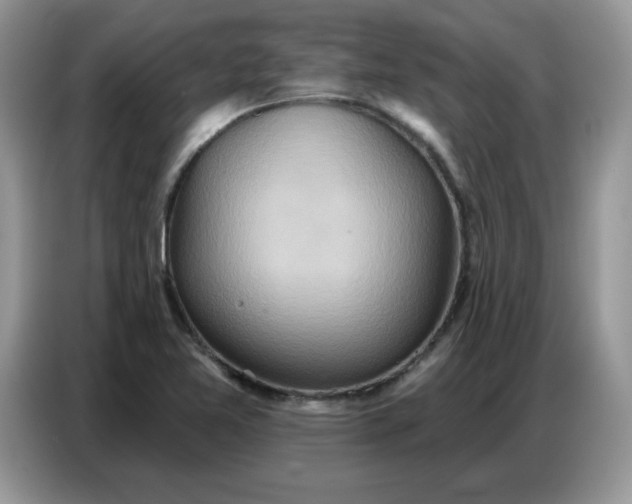 X0000086751365200704271702