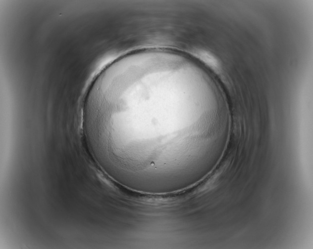 X0000086751366200704271702