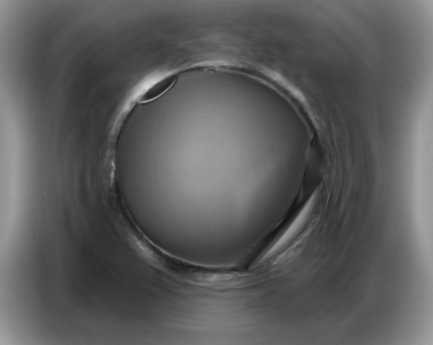 X0000086751367200704271702