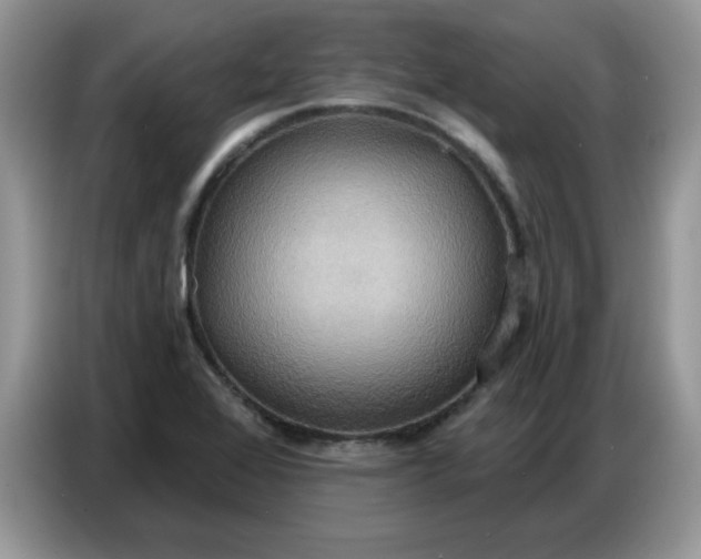 X0000086751368200704271702