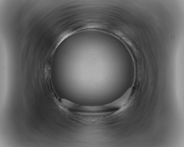 X0000086751369200704271702