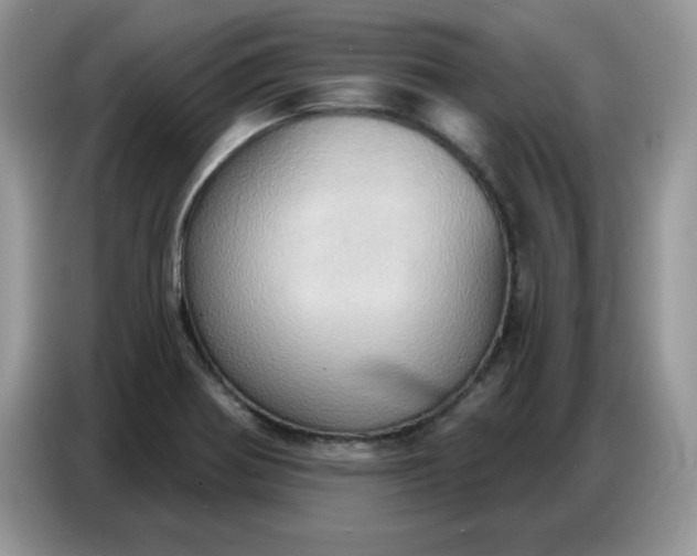 X0000086751370200704271702