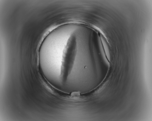 X0000086751371200704271702