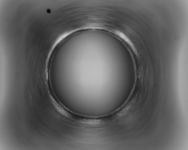 X0000086751372200704271702