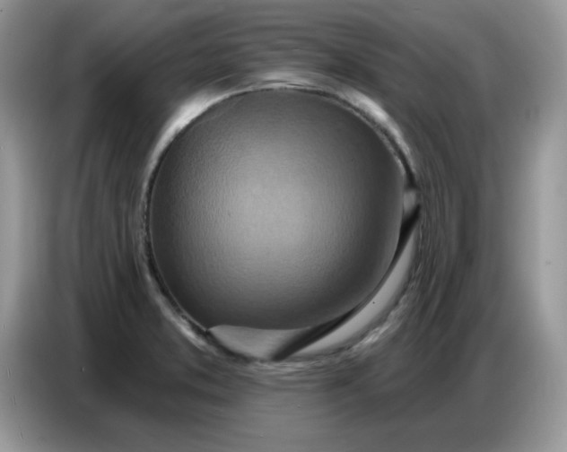 X0000086751373200704271702