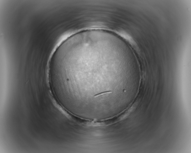 X0000086751374200704271702