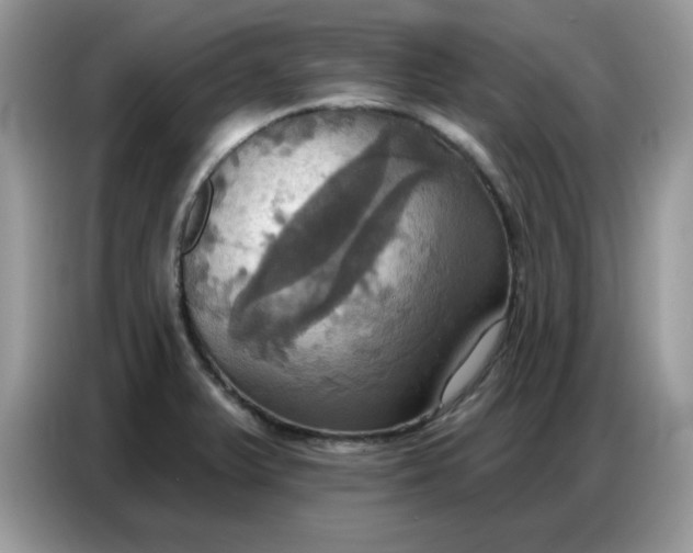 X0000086751375200704271702