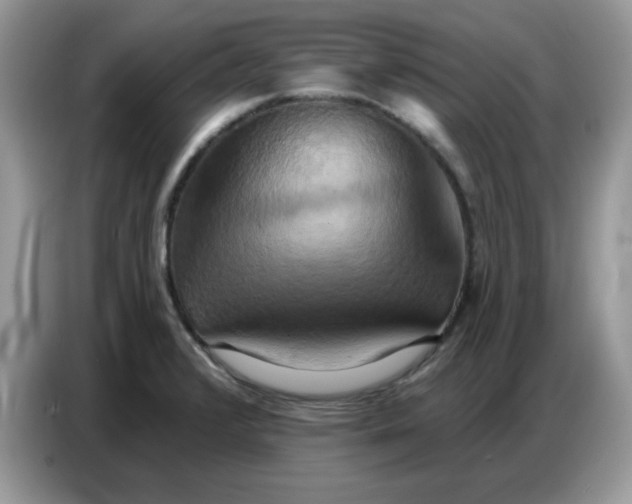 X0000086751376200704271702