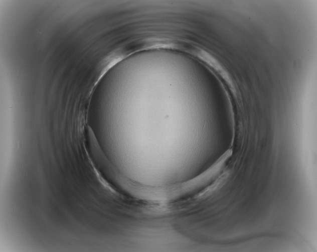 X0000086751377200704271702