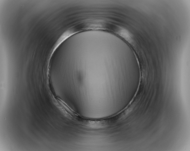 X0000086751378200704271702