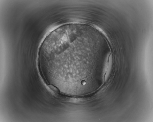 X0000086751379200704271702