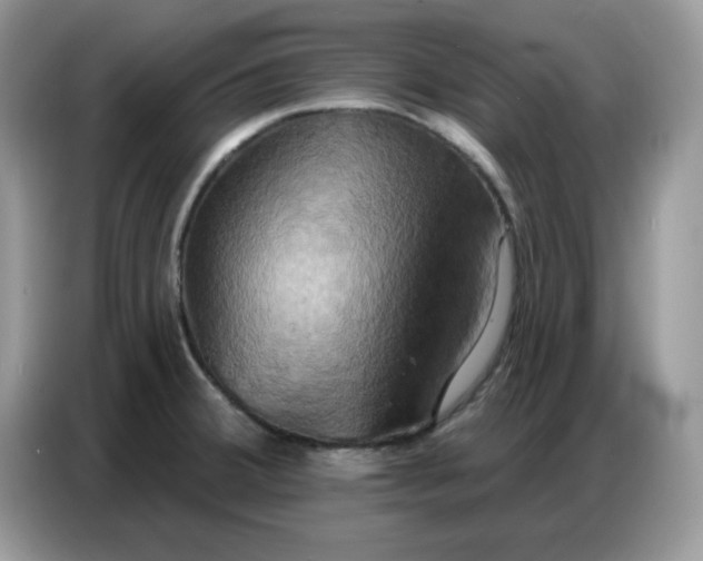 X0000086751380200704271702