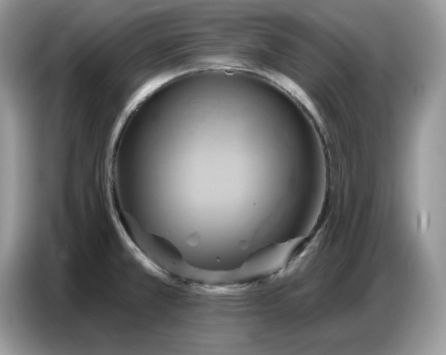 X0000086751381200704271702