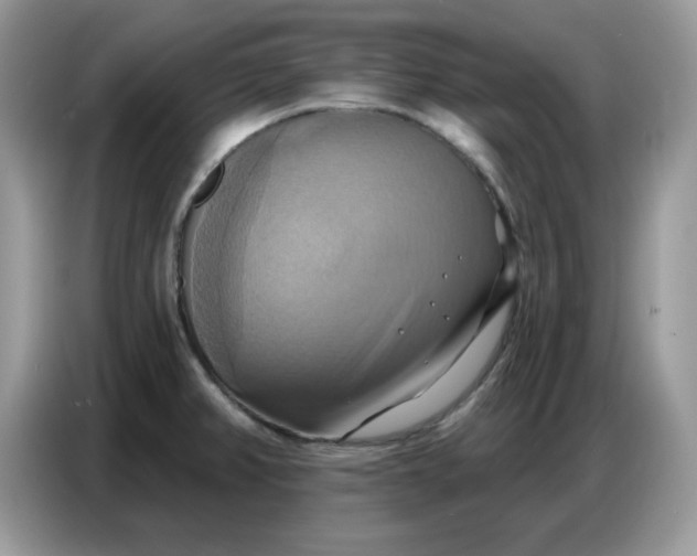 X0000086751382200704271702