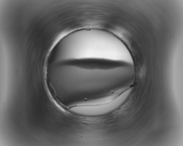 X0000086751383200704271702