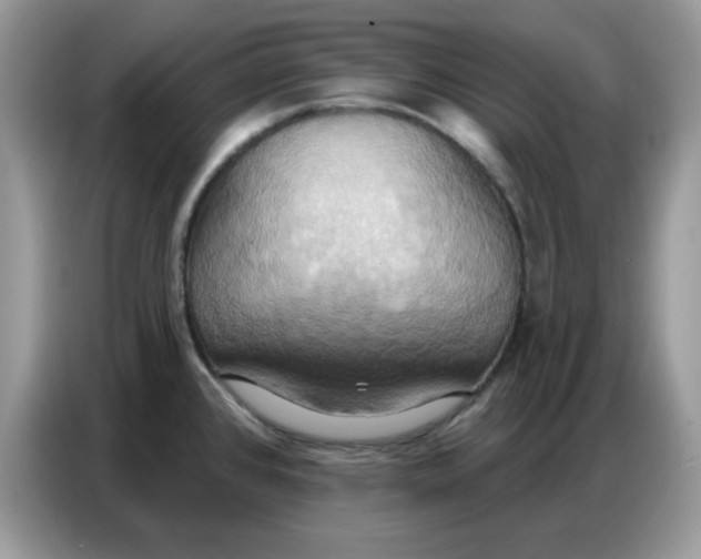 X0000086751384200704271702