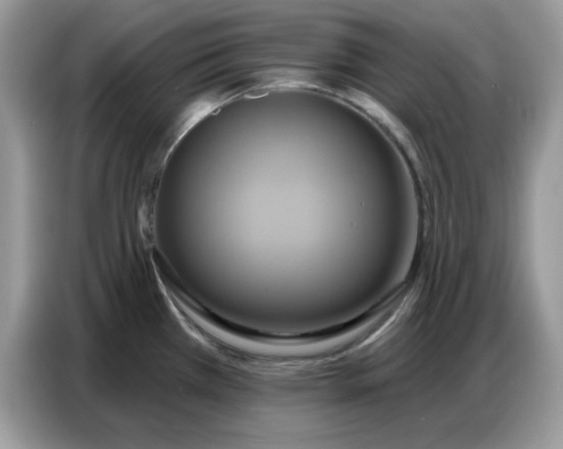 X0000086751385200704271702