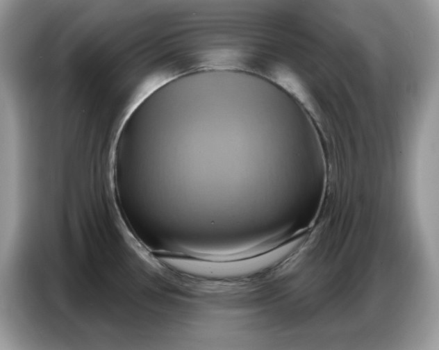 X0000086751386200704271701