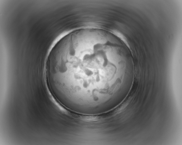 X0000086751387200704271701