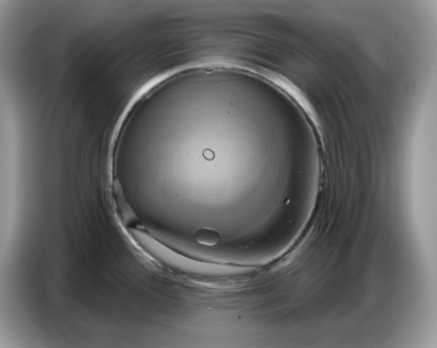 X0000086751388200704271701